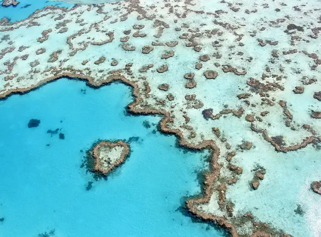 Aerial view of the heart-shaped Heart Reef and surrounding coral in the turquoise water of the Great Barrier Reef