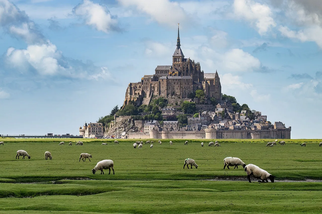 The abbey and village of Mont-Saint-Michel rising from the bay, with sheep grazing on salt meadows in the foreground
