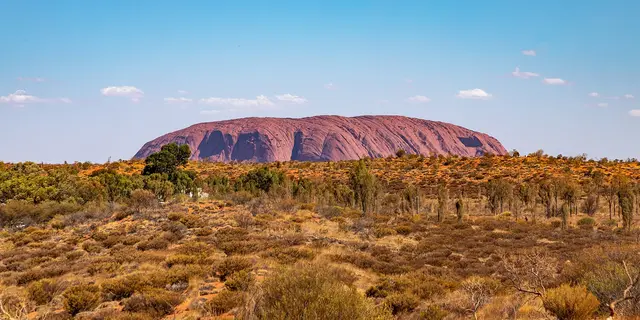 Uluru rising above red desert scrubland under a blue sky, seen from a distance