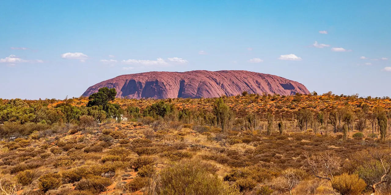 Uluru rising above red desert scrubland under a blue sky, seen from a distance