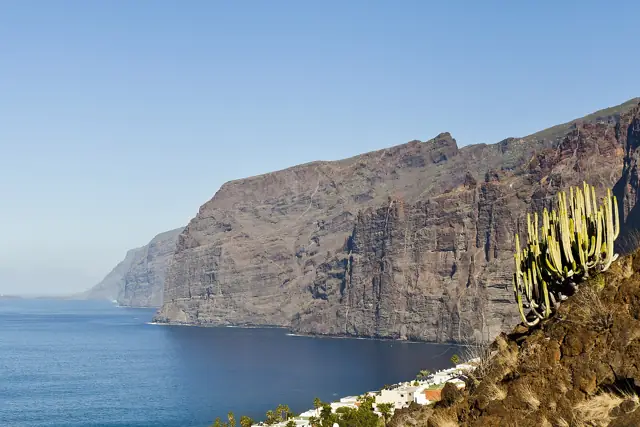 The sheer Los Gigantes sea cliffs on Tenerife's west coast above a calm blue Atlantic, with cacti in the foreground
