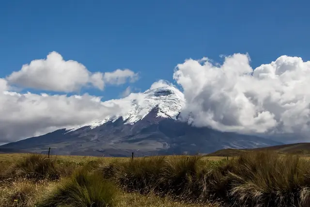The snow-capped cone of Cotopaxi volcano rising above the grassland of the Ecuadorian Andes