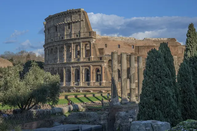 The Colosseum in Rome seen from the Roman Forum, framed by cypress trees under a blue sky