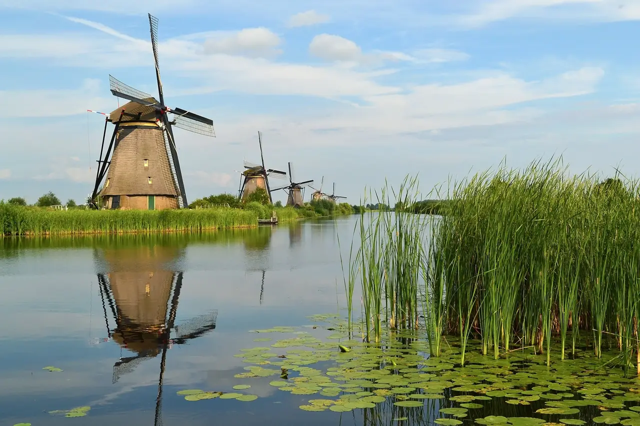 Traditional windmills reflected in a reed-lined canal at Kinderdijk in the Netherlands