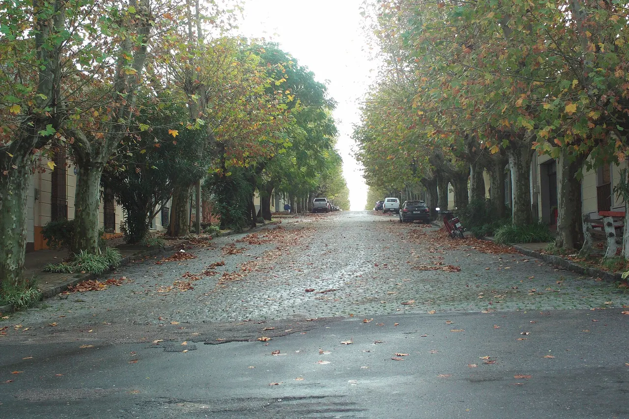 Calle Washington Barbot in Colonia. Photo taken in May (late autumn in the Southern Hemisphere)